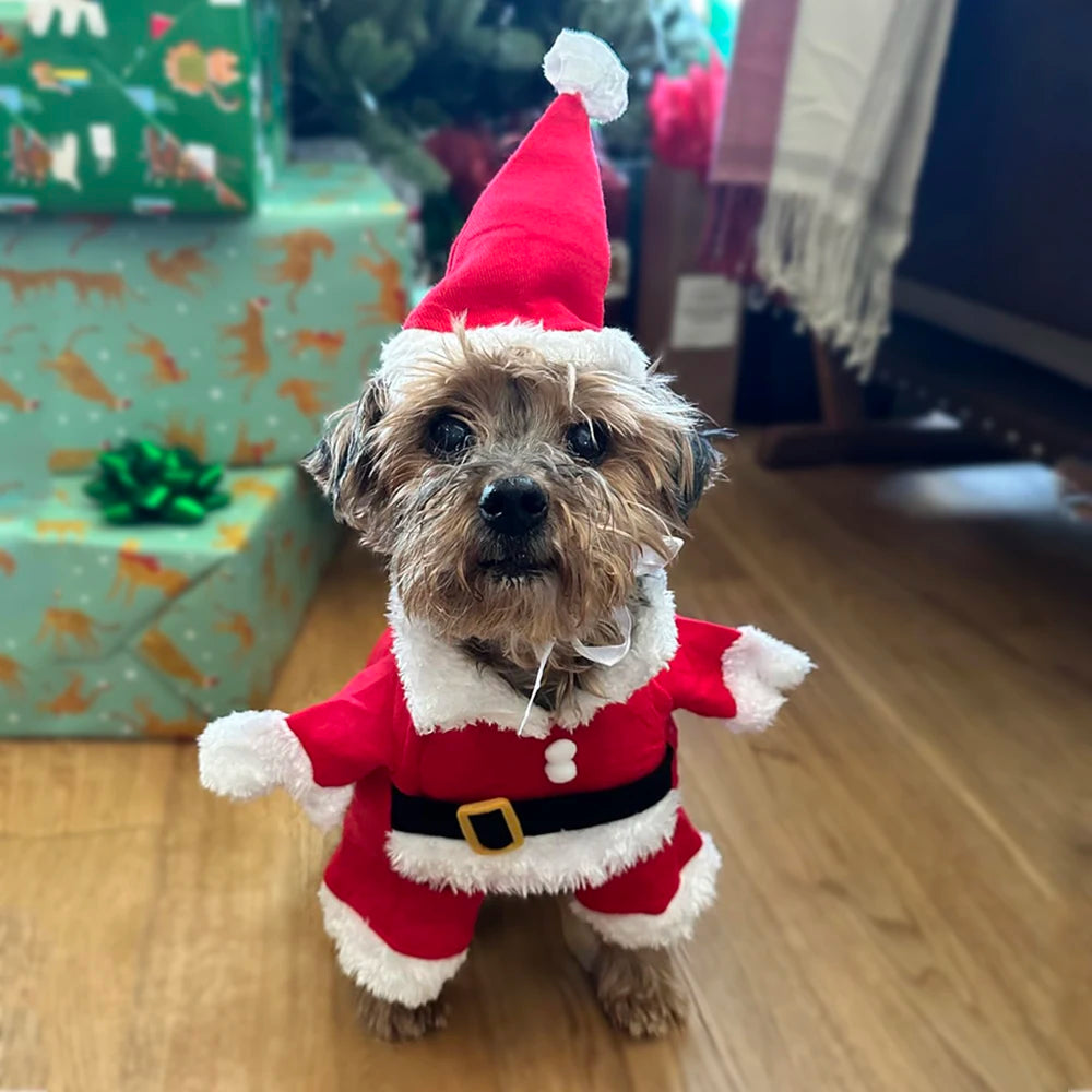 Christmas Pet Costume –