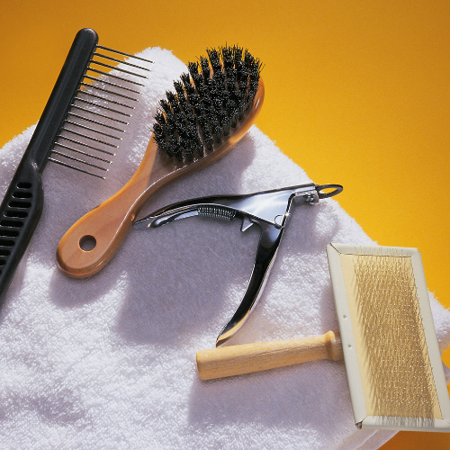 Grooming & Hygiene