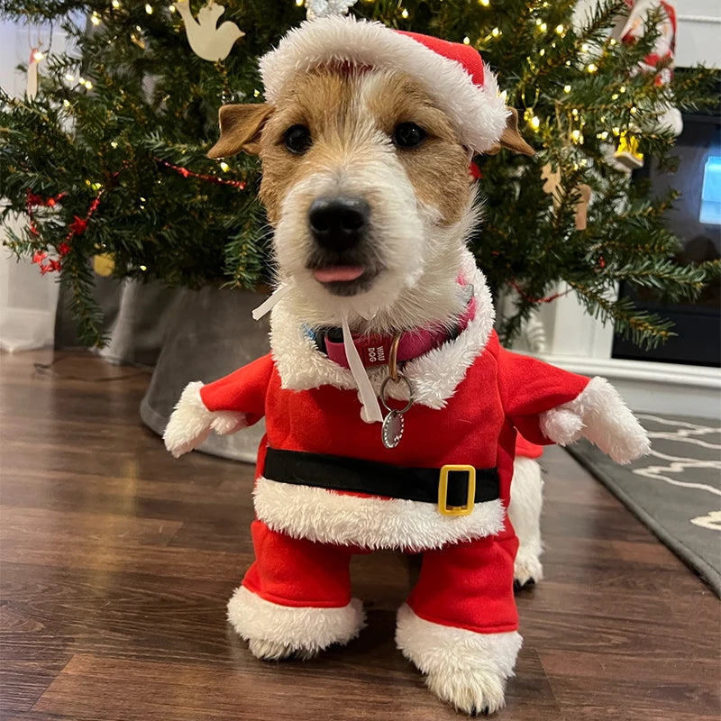 Christmas Pet Costume