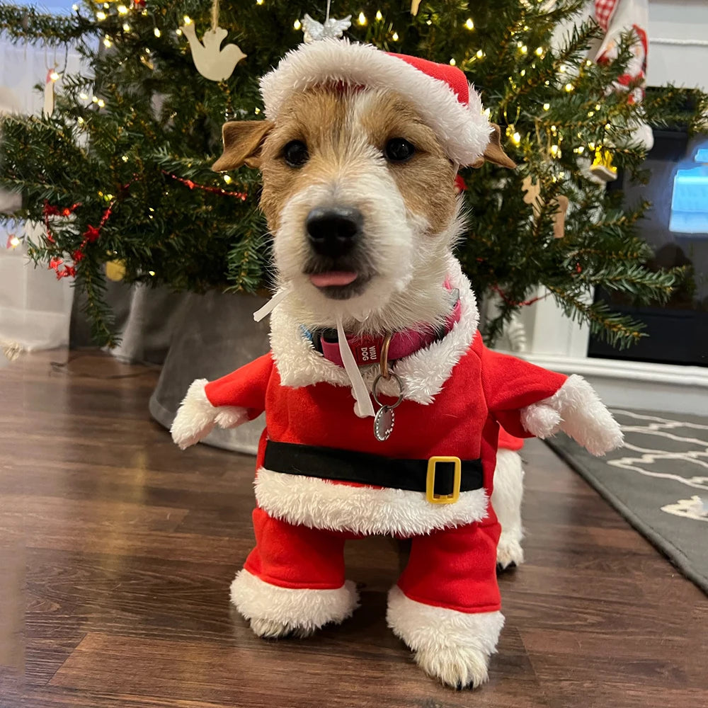 Christmas Pet Costume