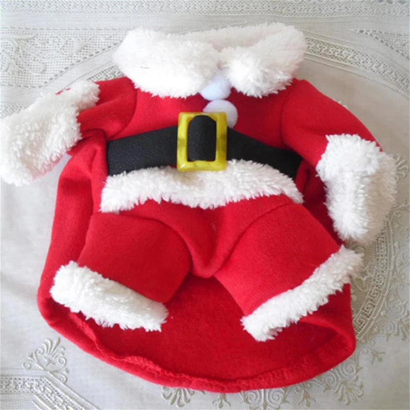 Christmas Pet Costume