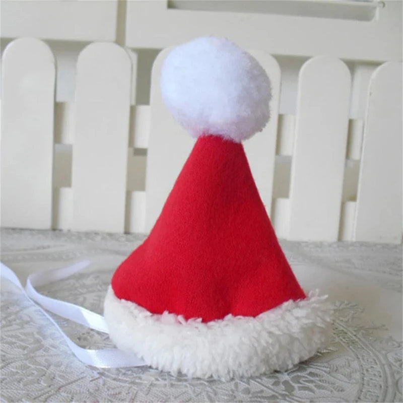 Christmas Pet Costume