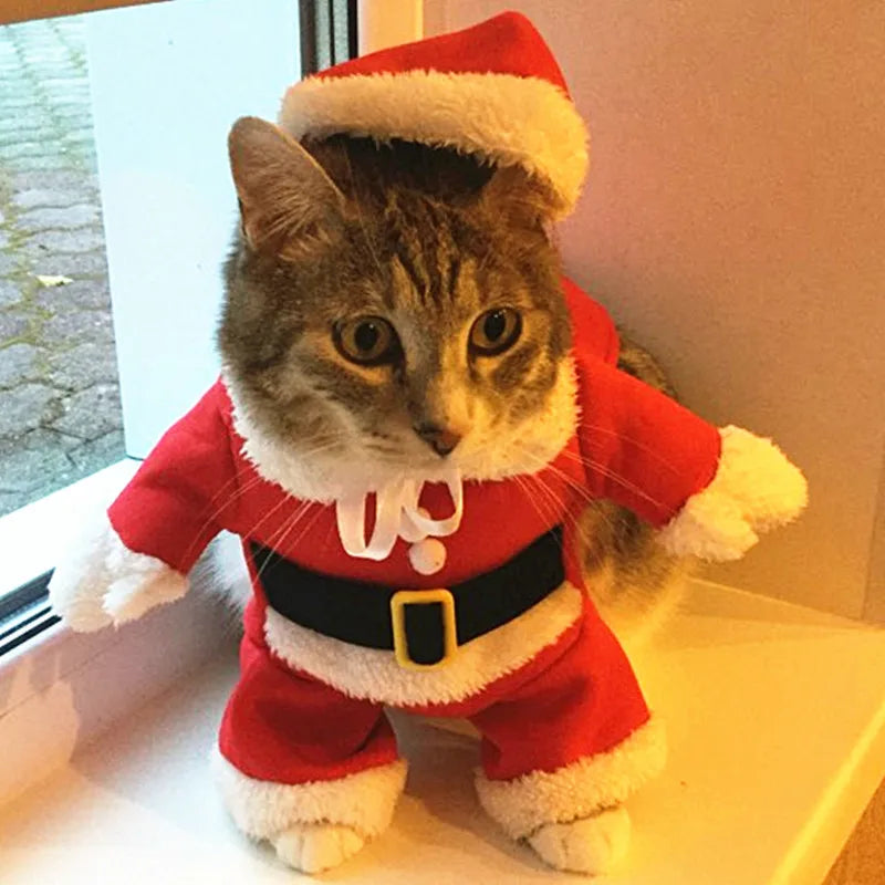 Christmas Pet Costume
