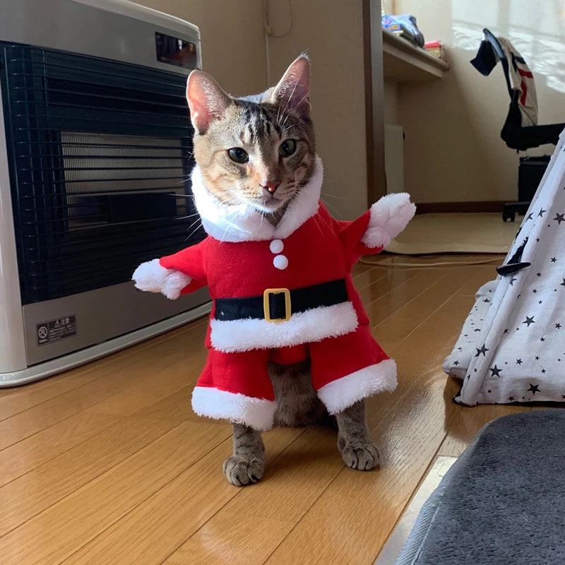 Christmas Pet Costume